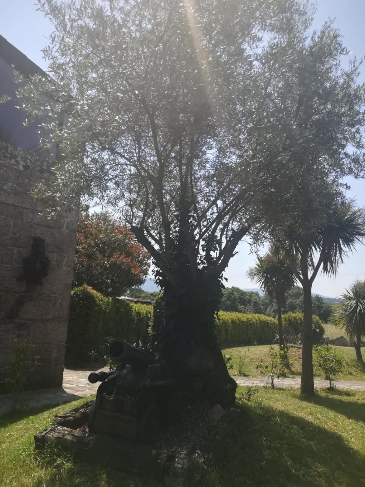 Country house Del General Albelda